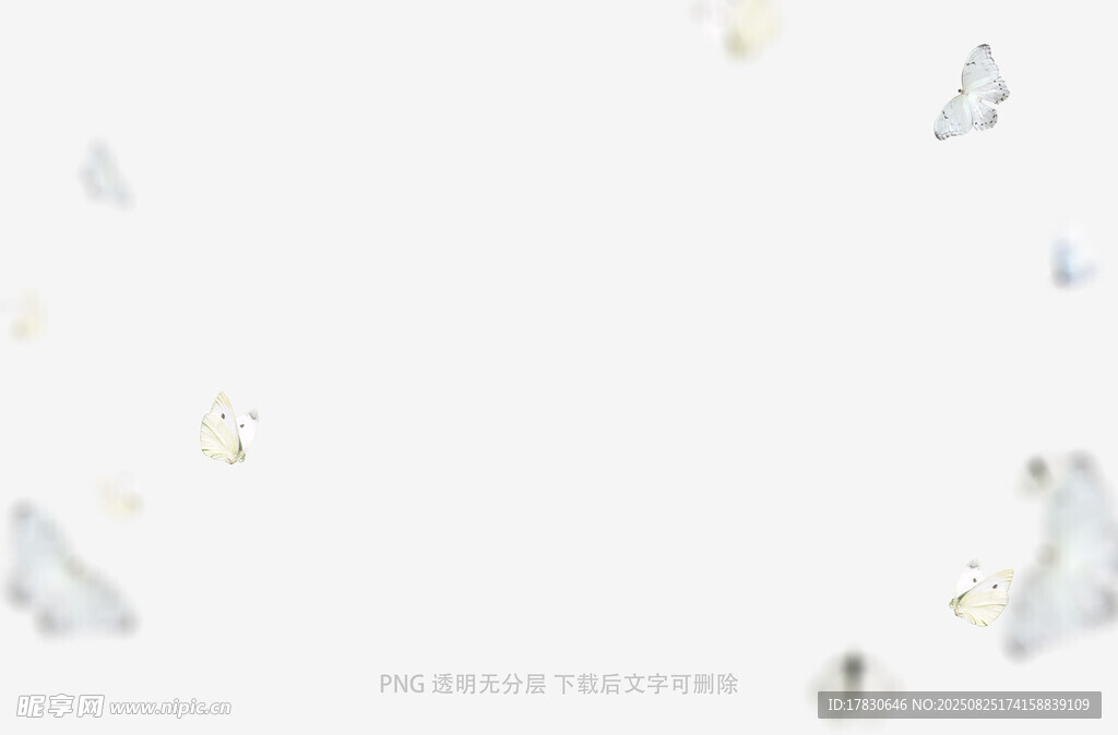 蝴蝶