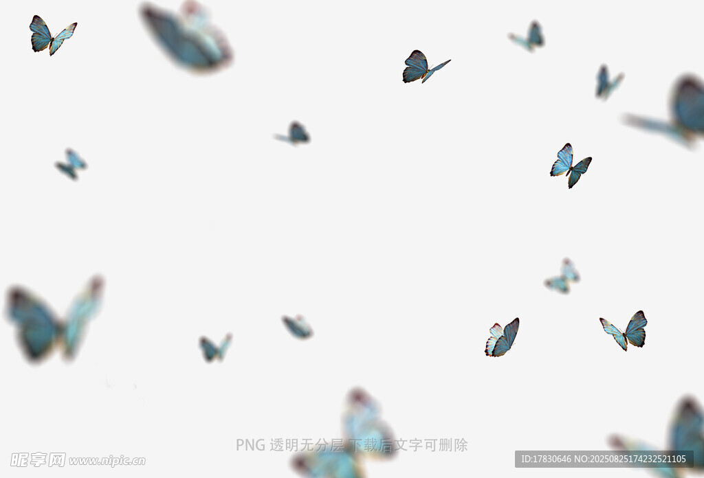 蝴蝶