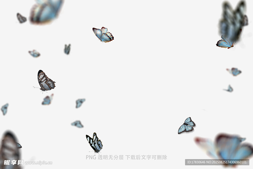 蝴蝶