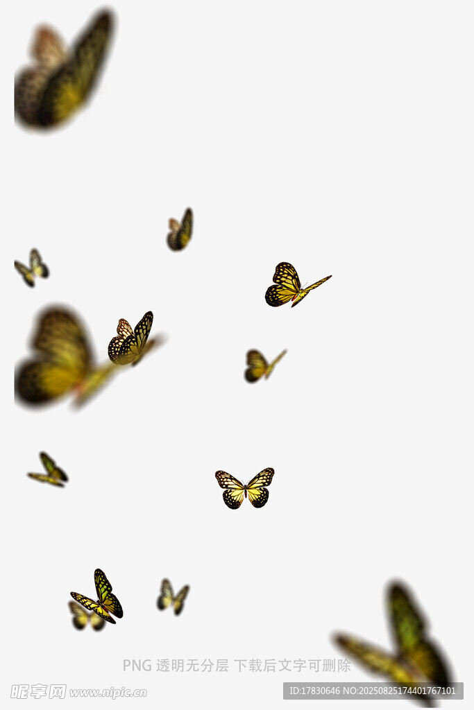 蝴蝶