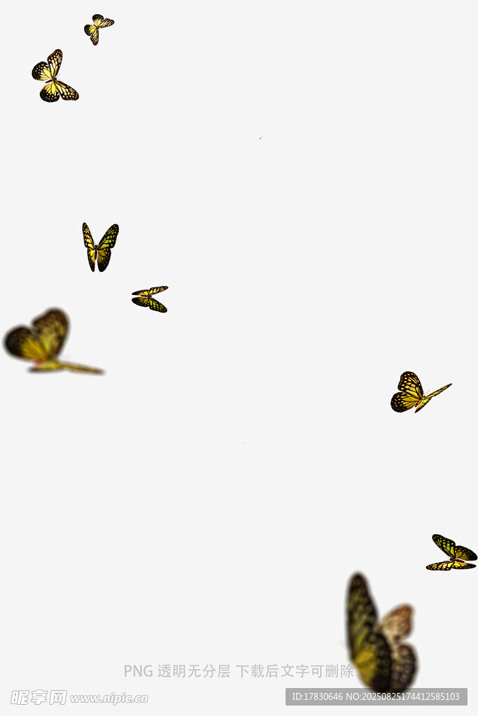 蝴蝶
