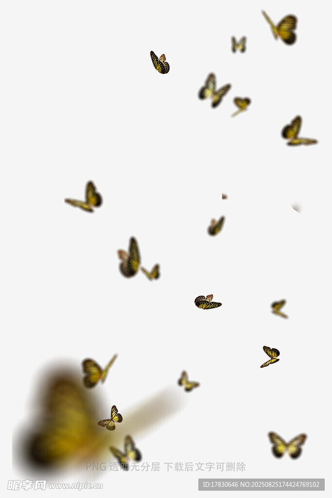蝴蝶