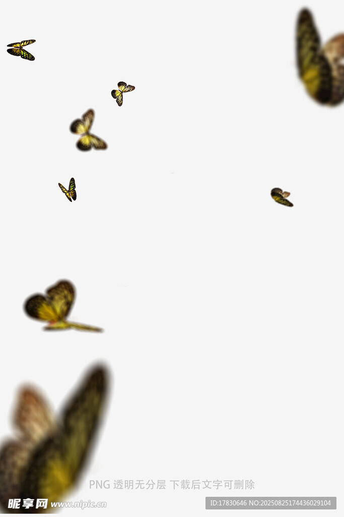 蝴蝶
