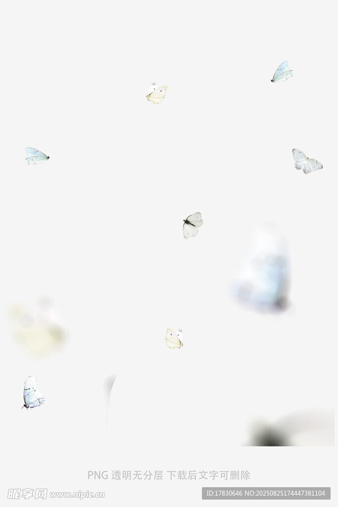 蝴蝶