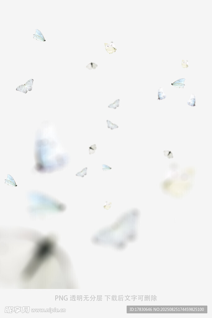 蝴蝶