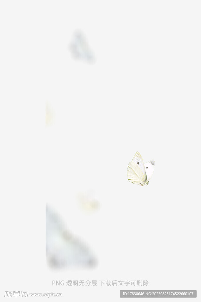 蝴蝶