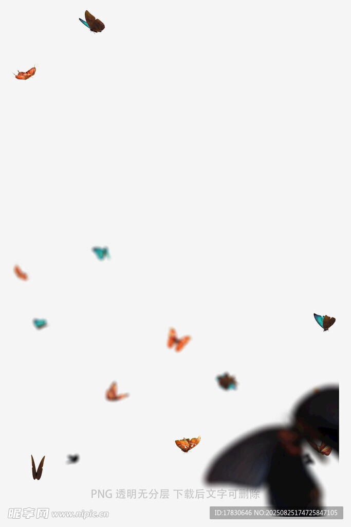 蝴蝶