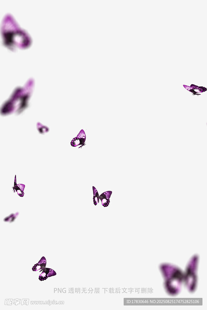 蝴蝶