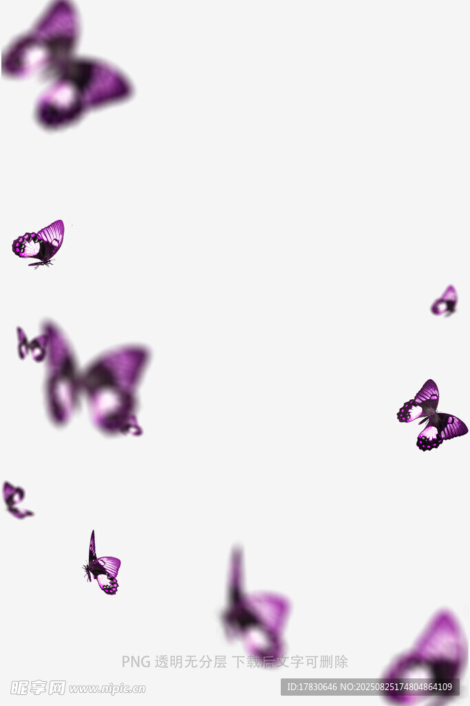 蝴蝶