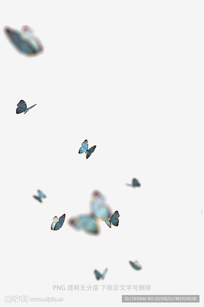 蝴蝶