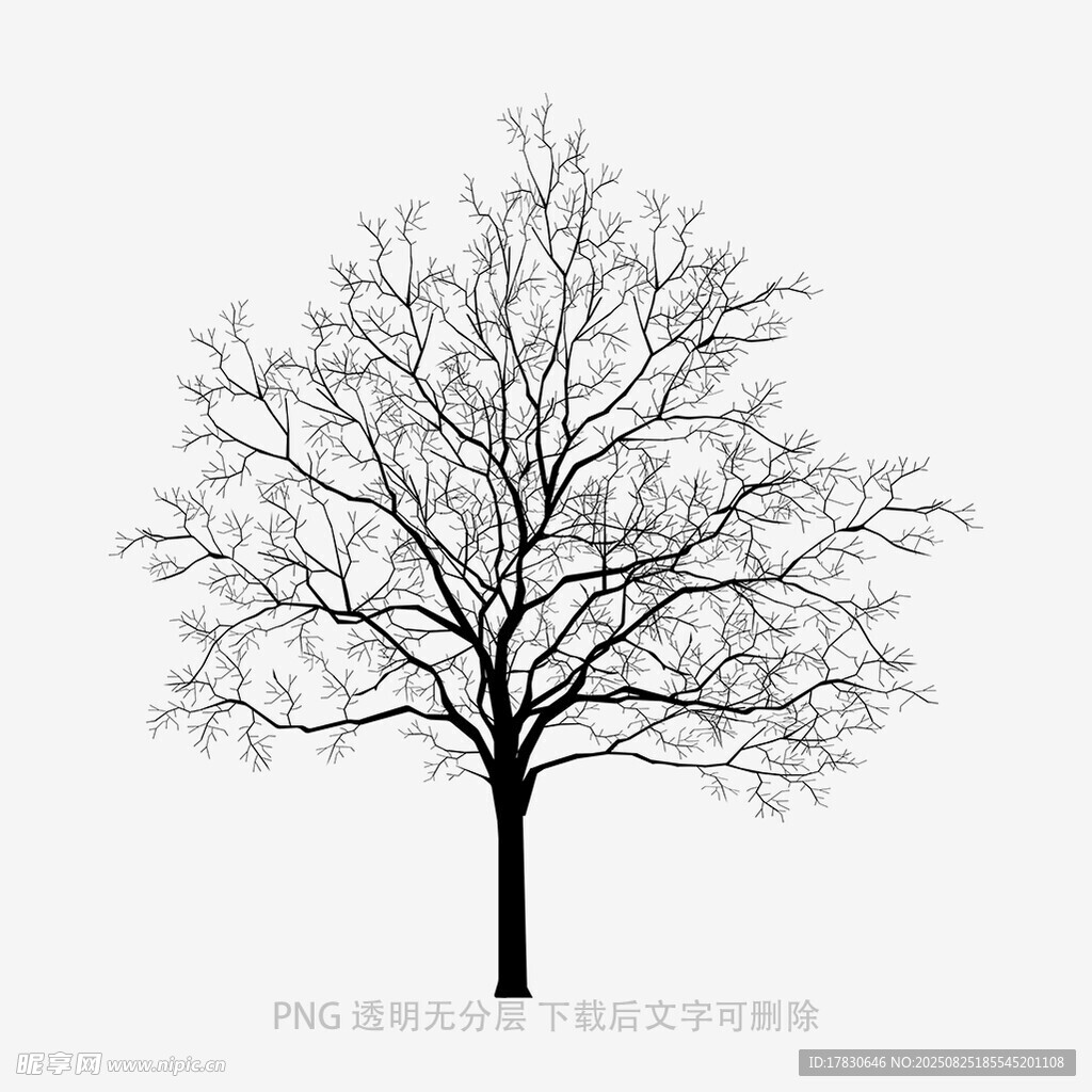 树木
