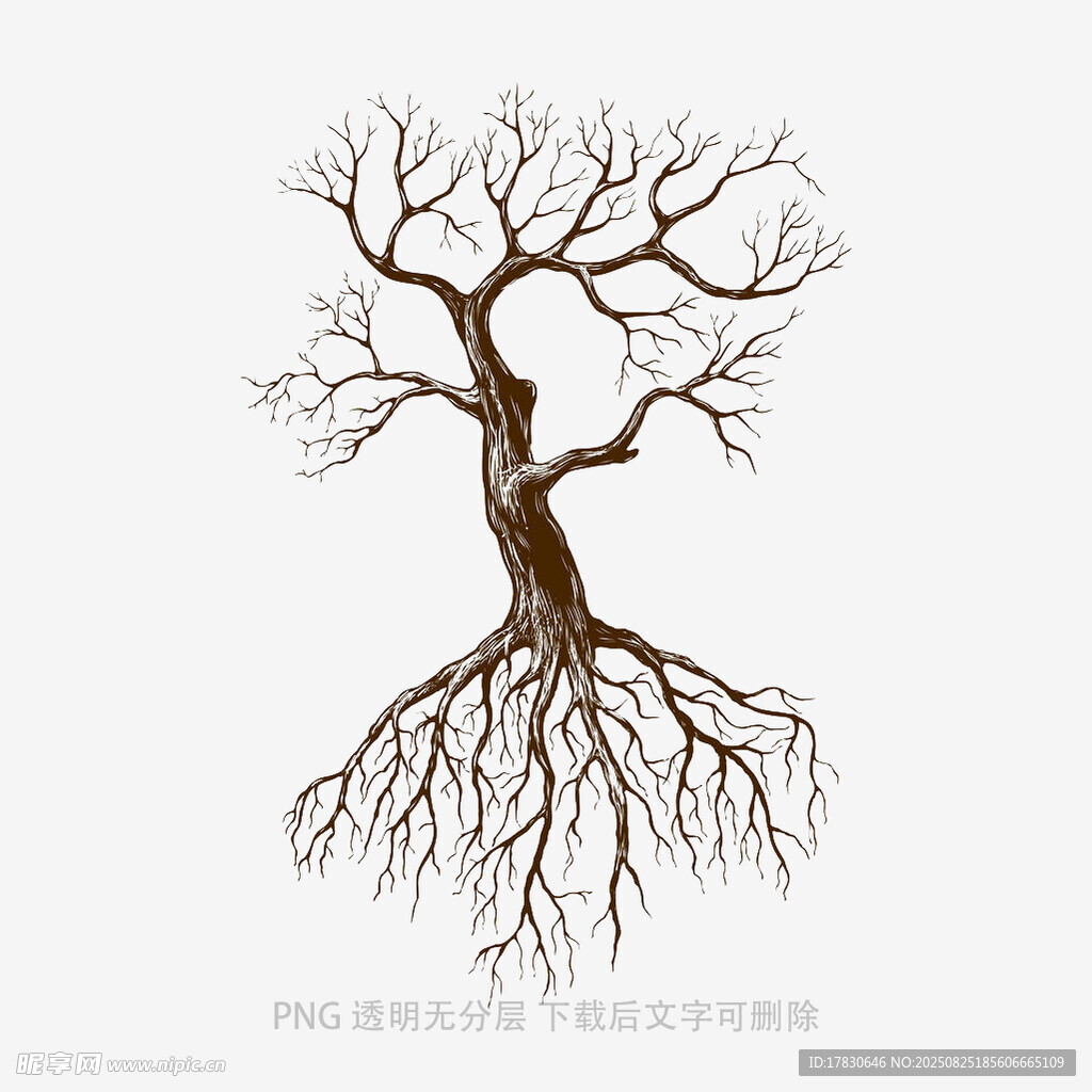 树木
