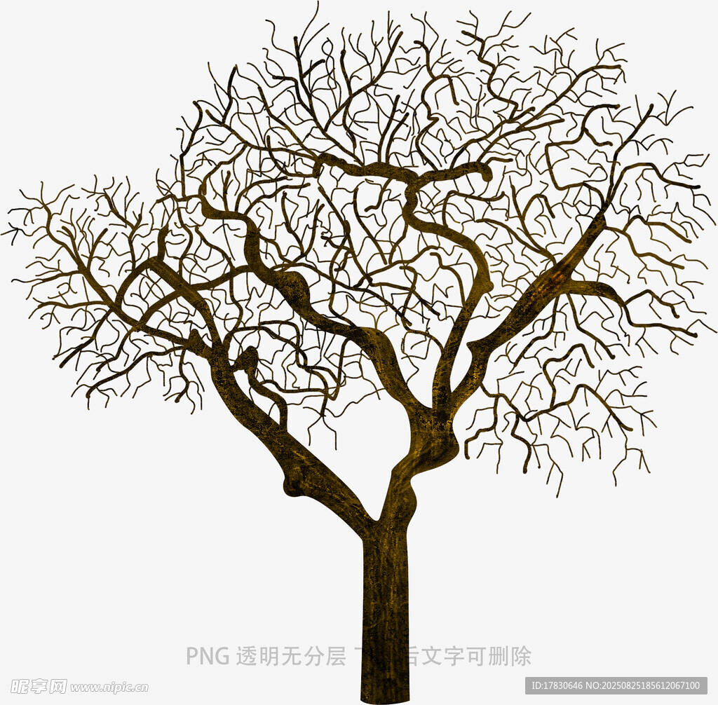 树木