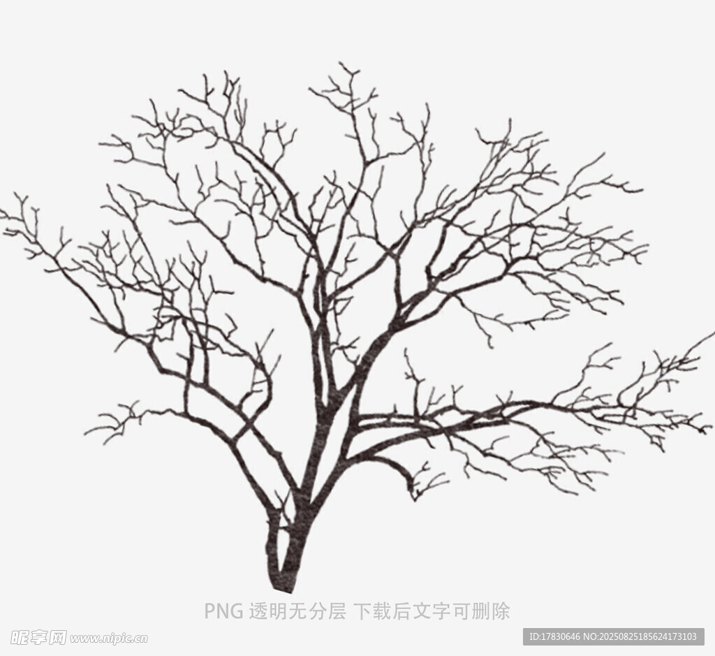 树木