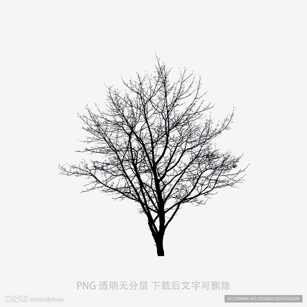 树木