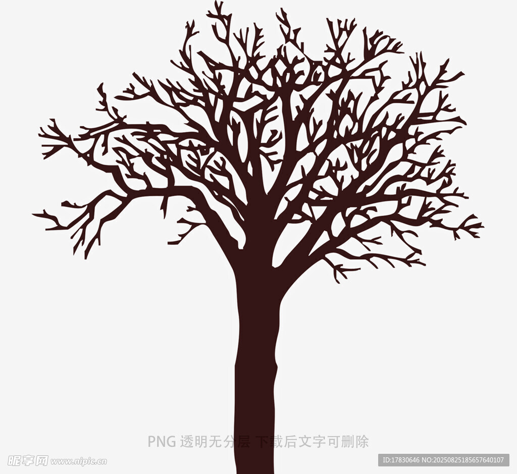 树木
