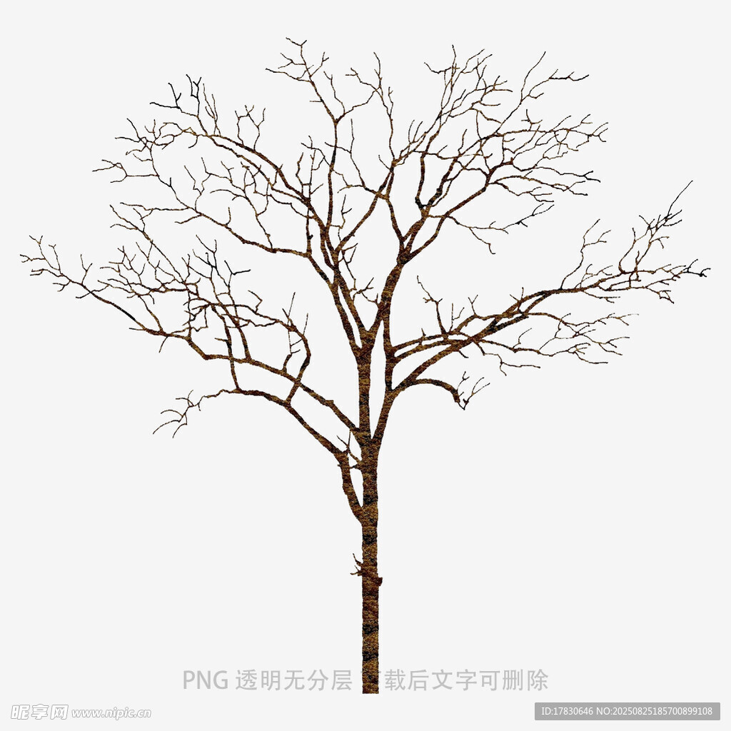 树木
