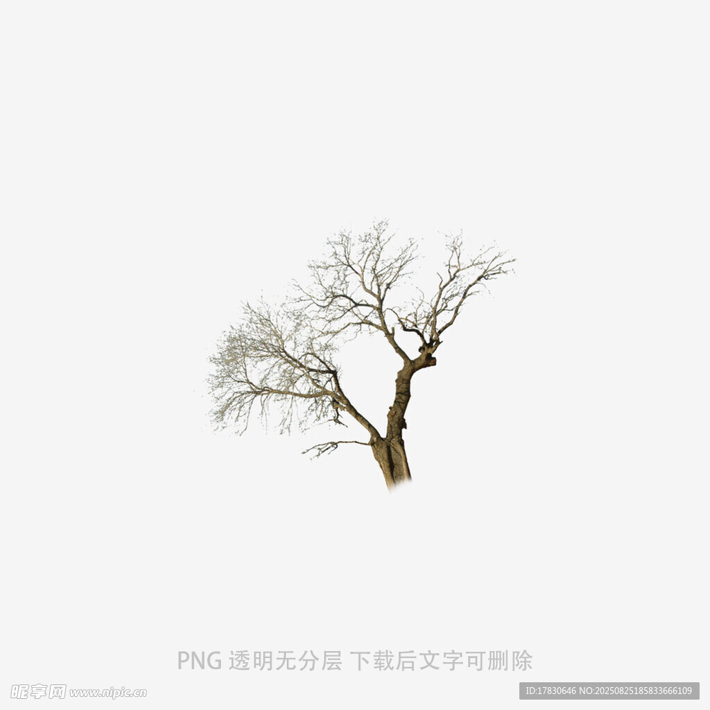 树木