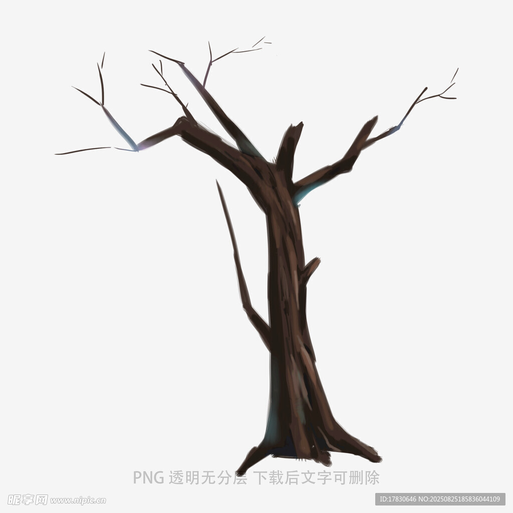 树木