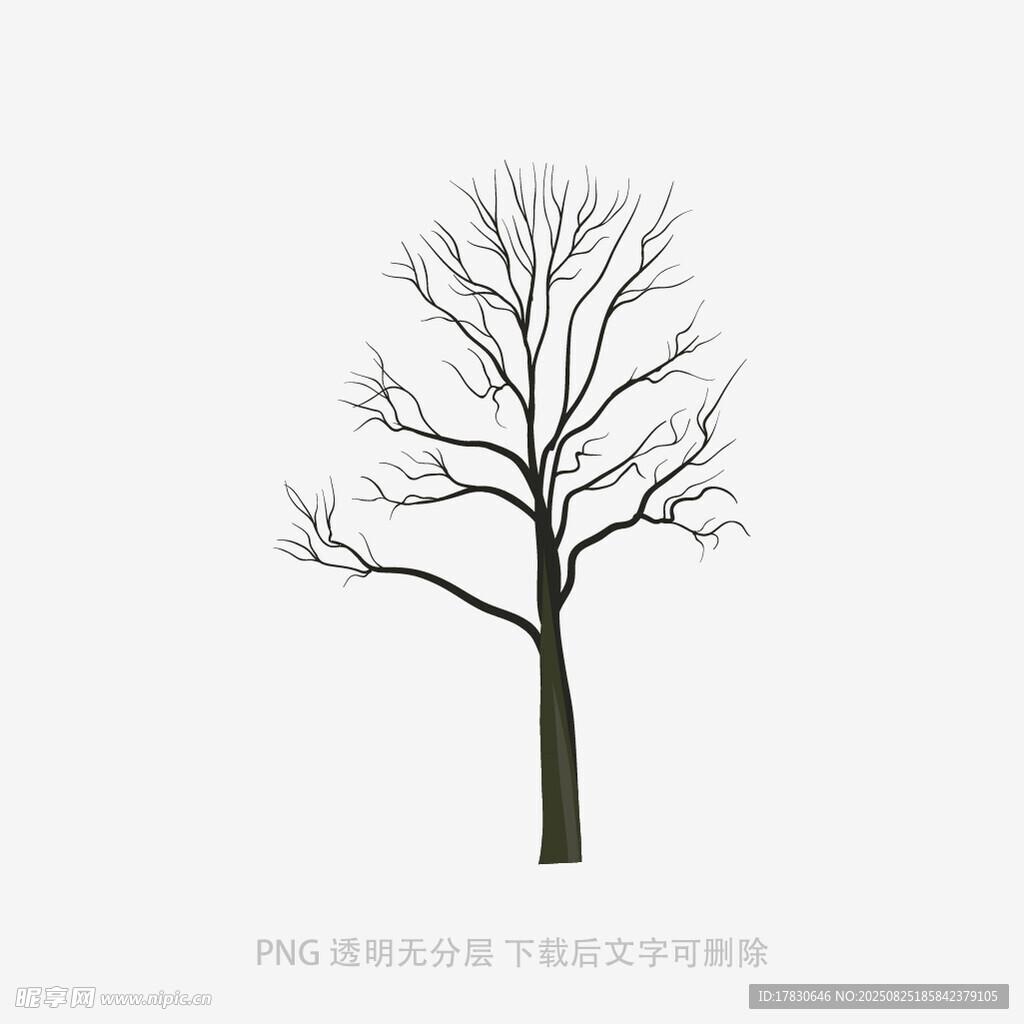树木