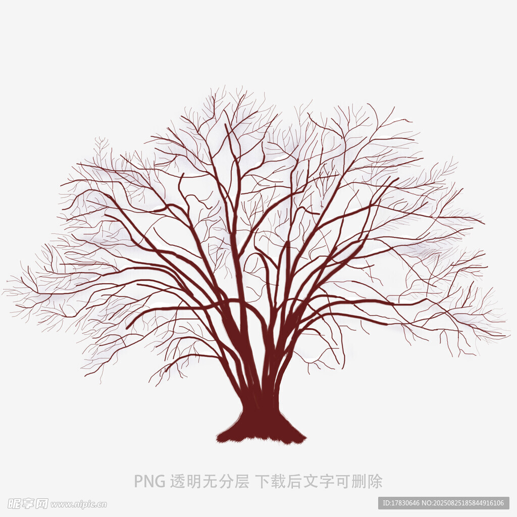 树木