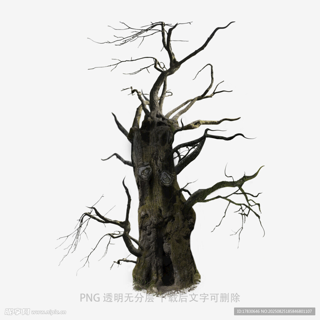 树木