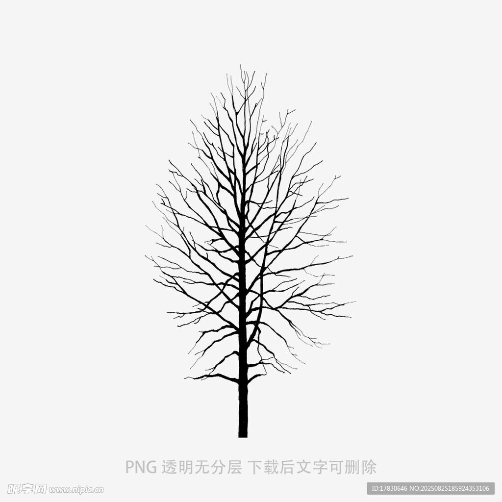 树木