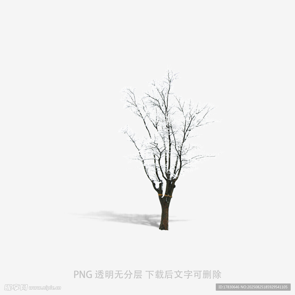 树木