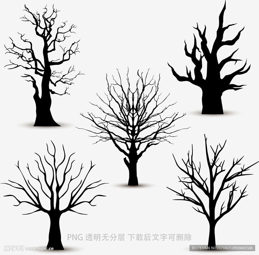 树木