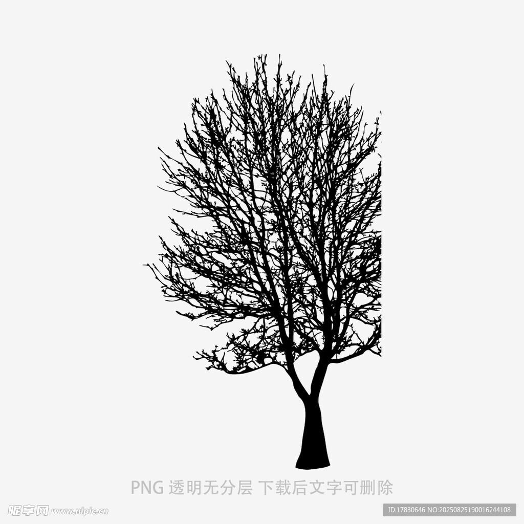 树木