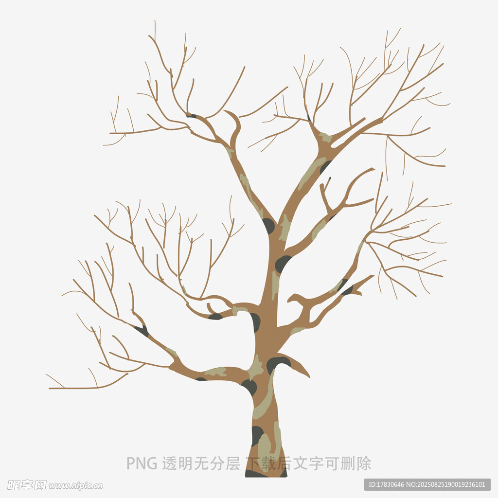树木