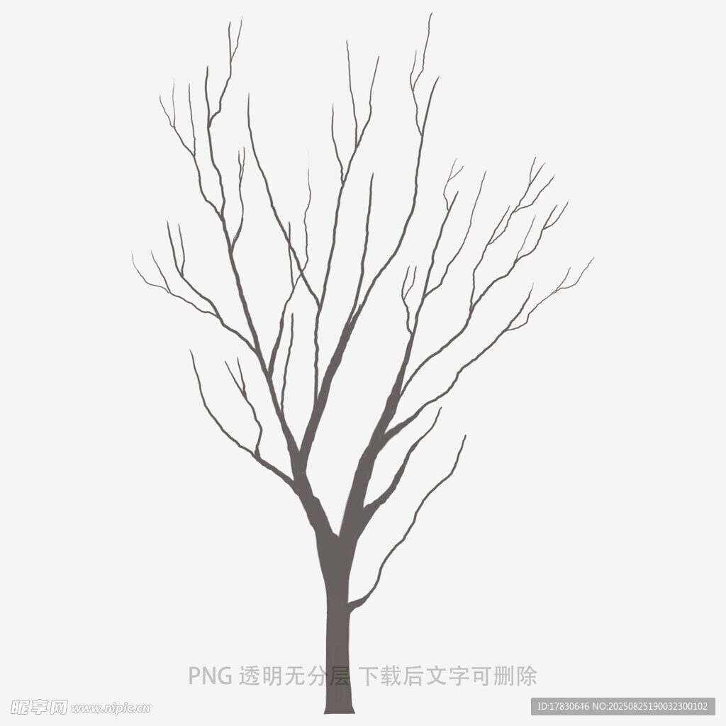 树木