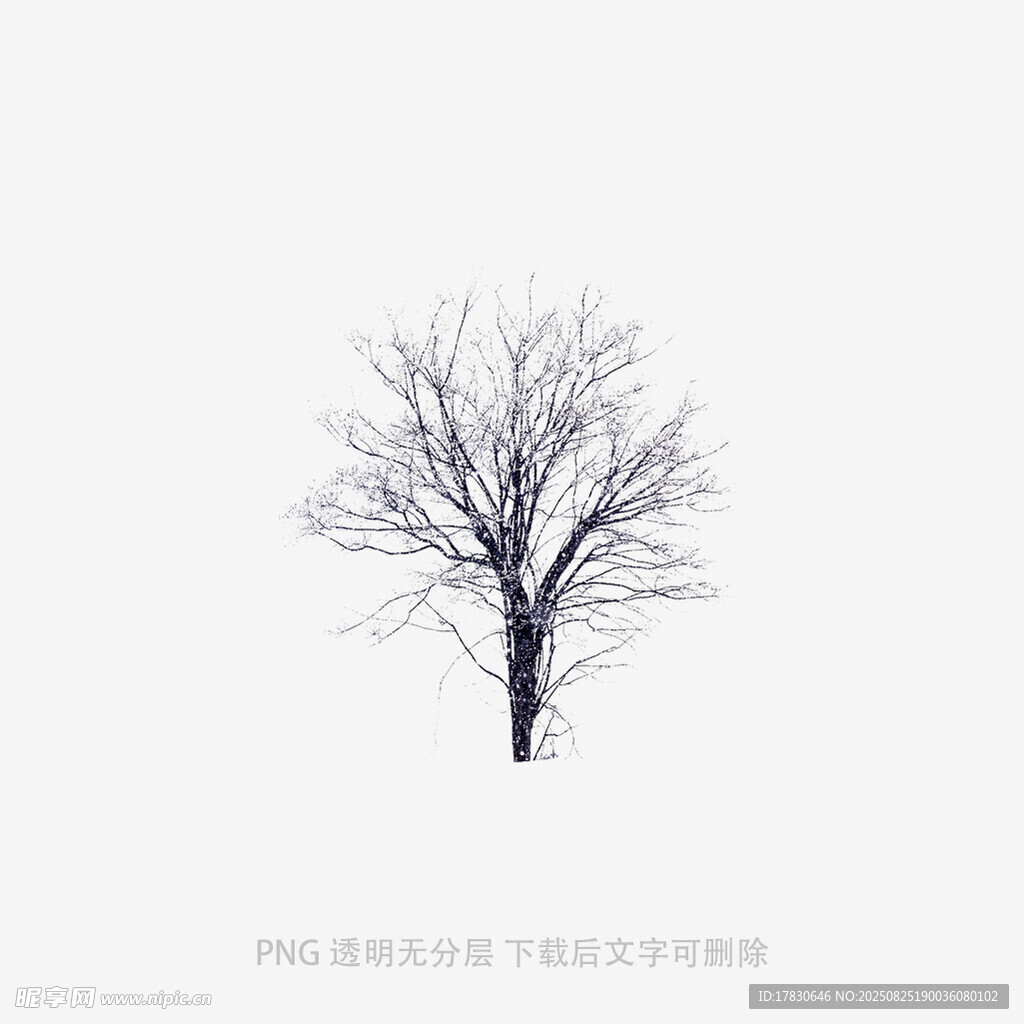 树木