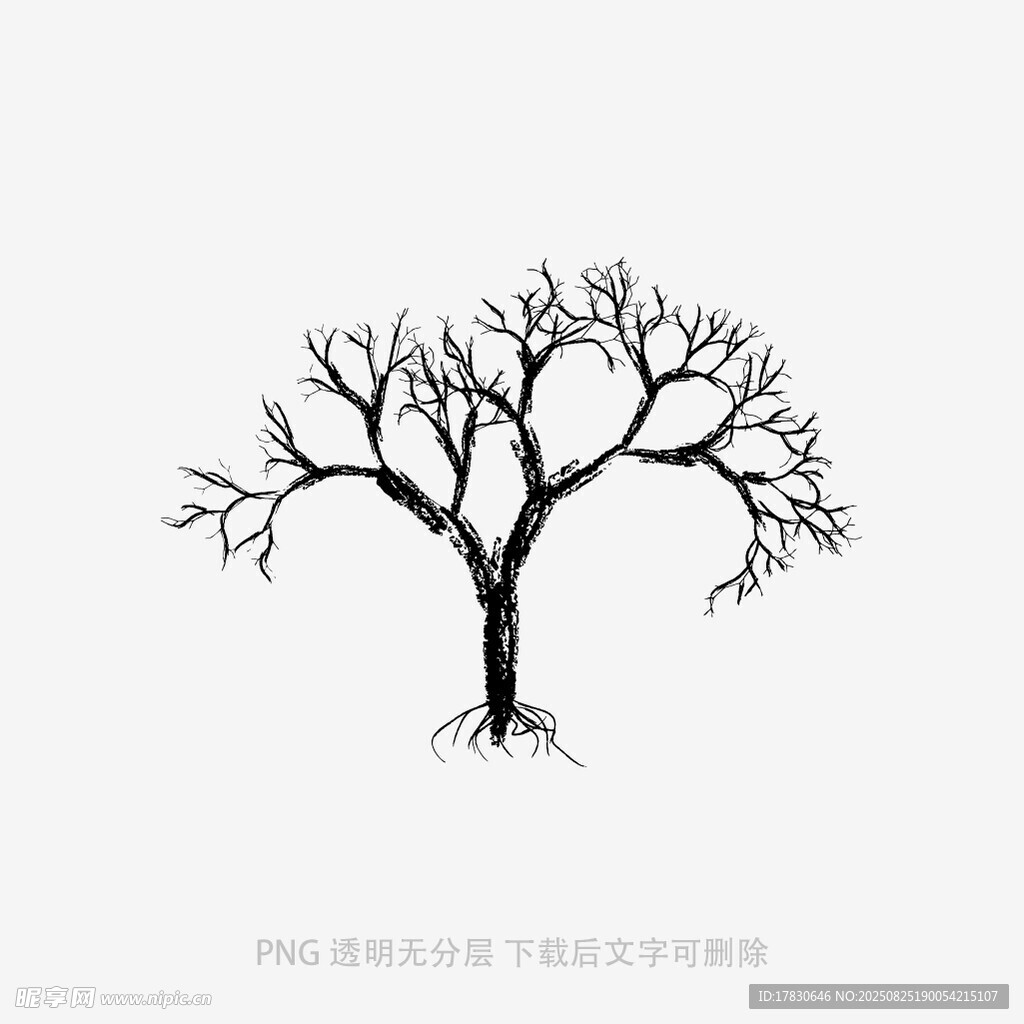 树木