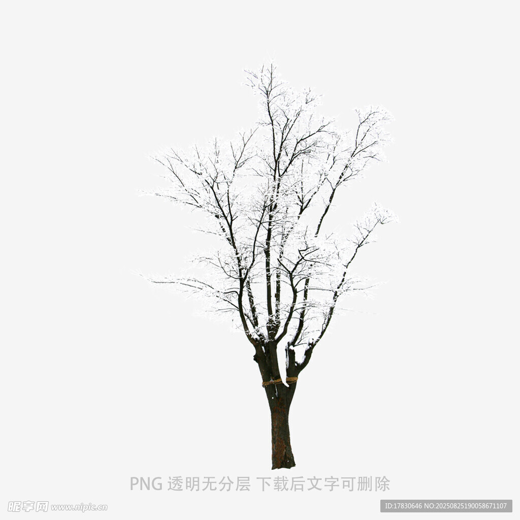 树木