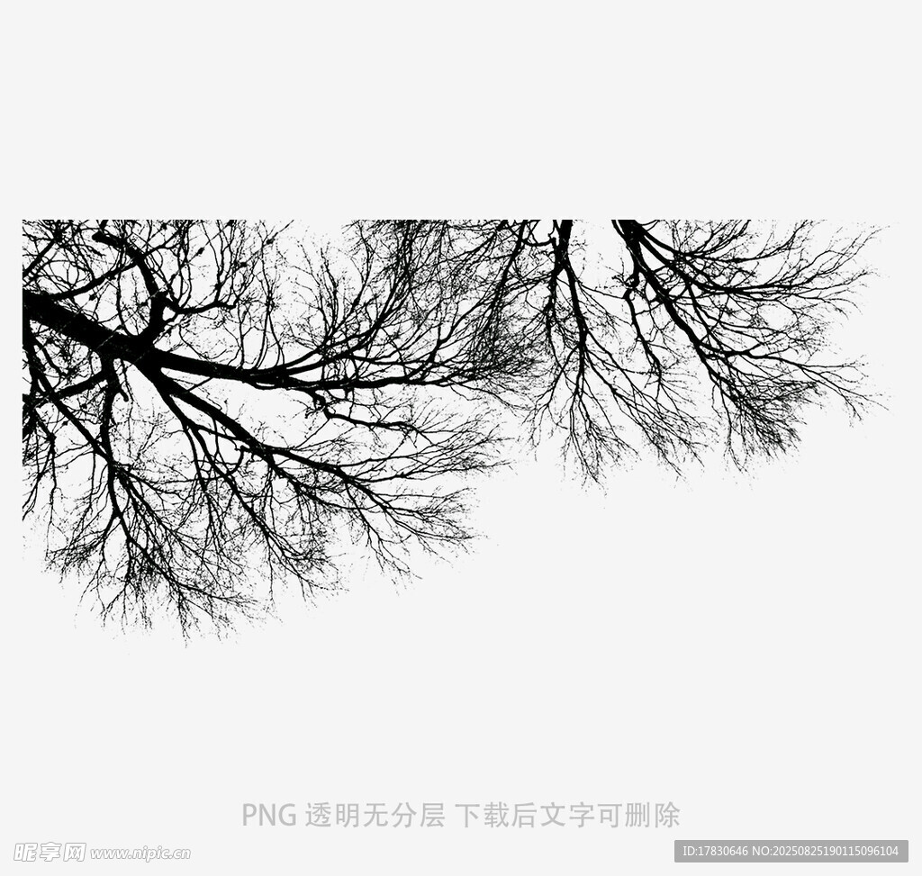 树木