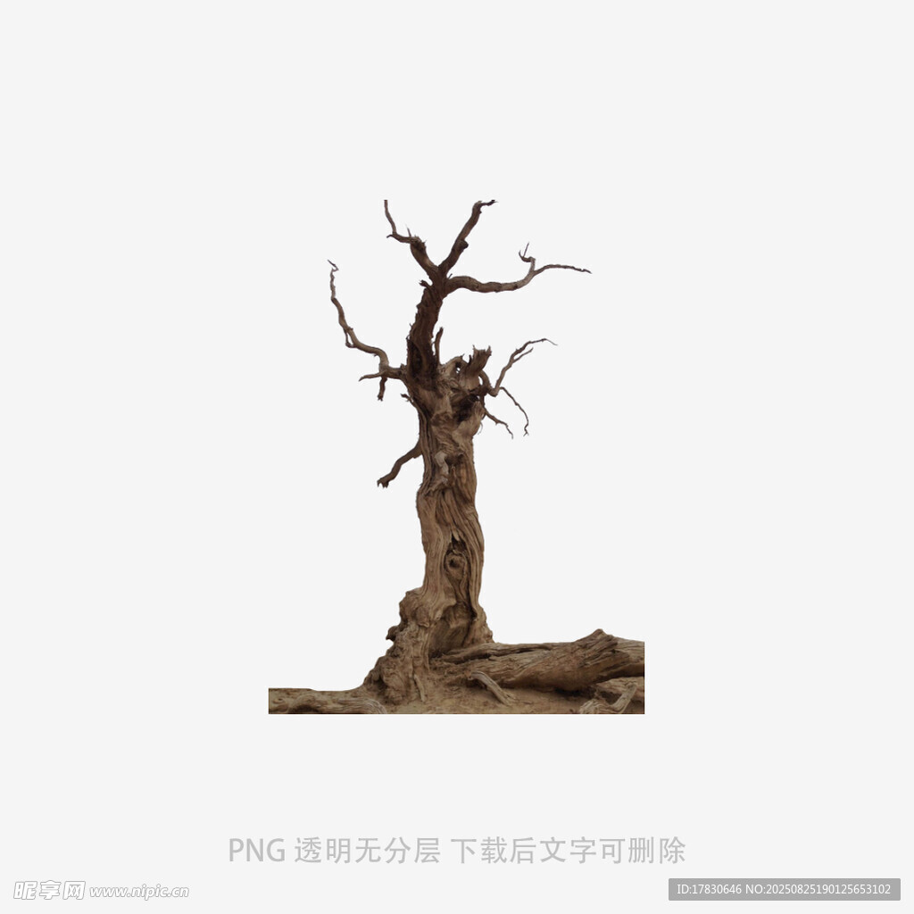 树木