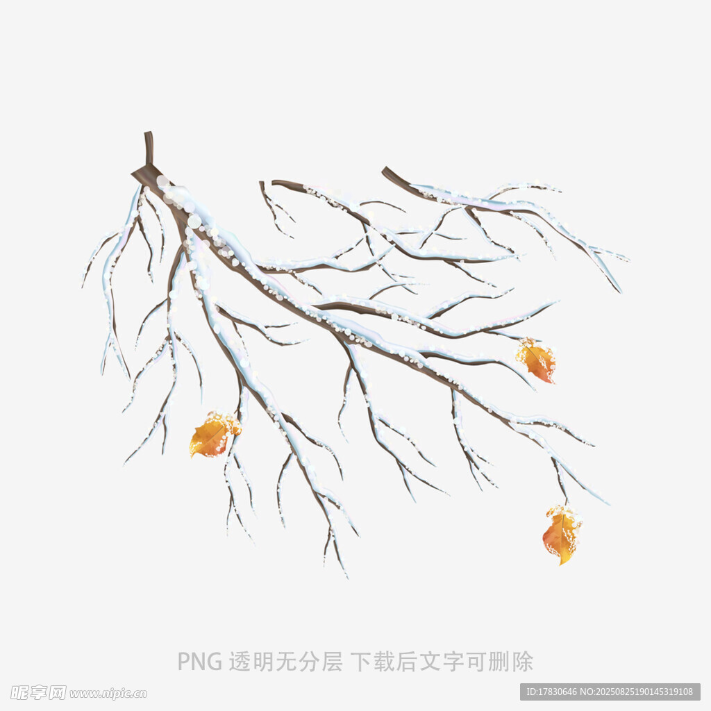 树木