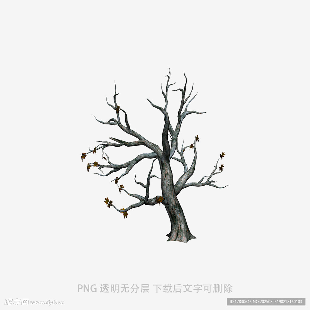 树木