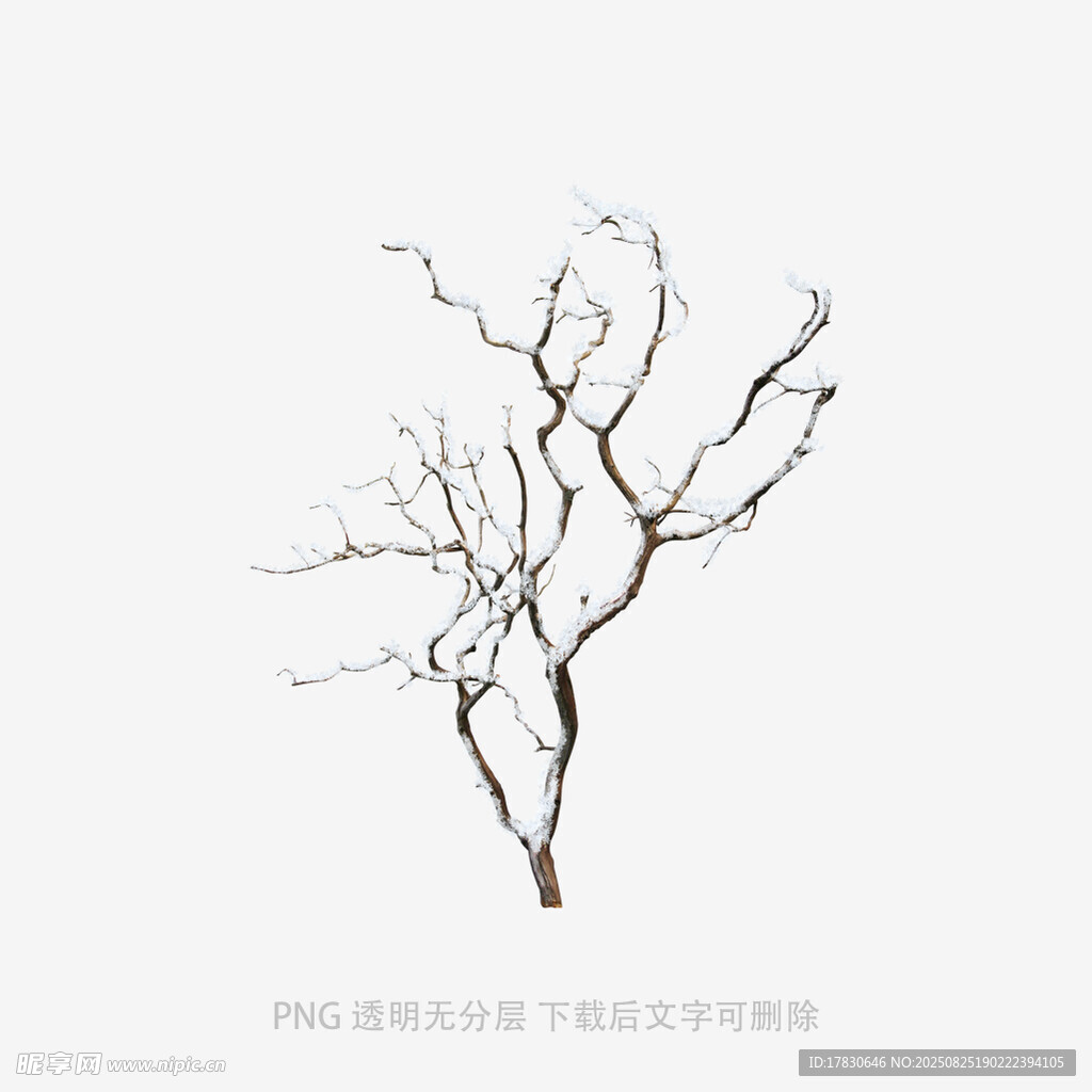 树木