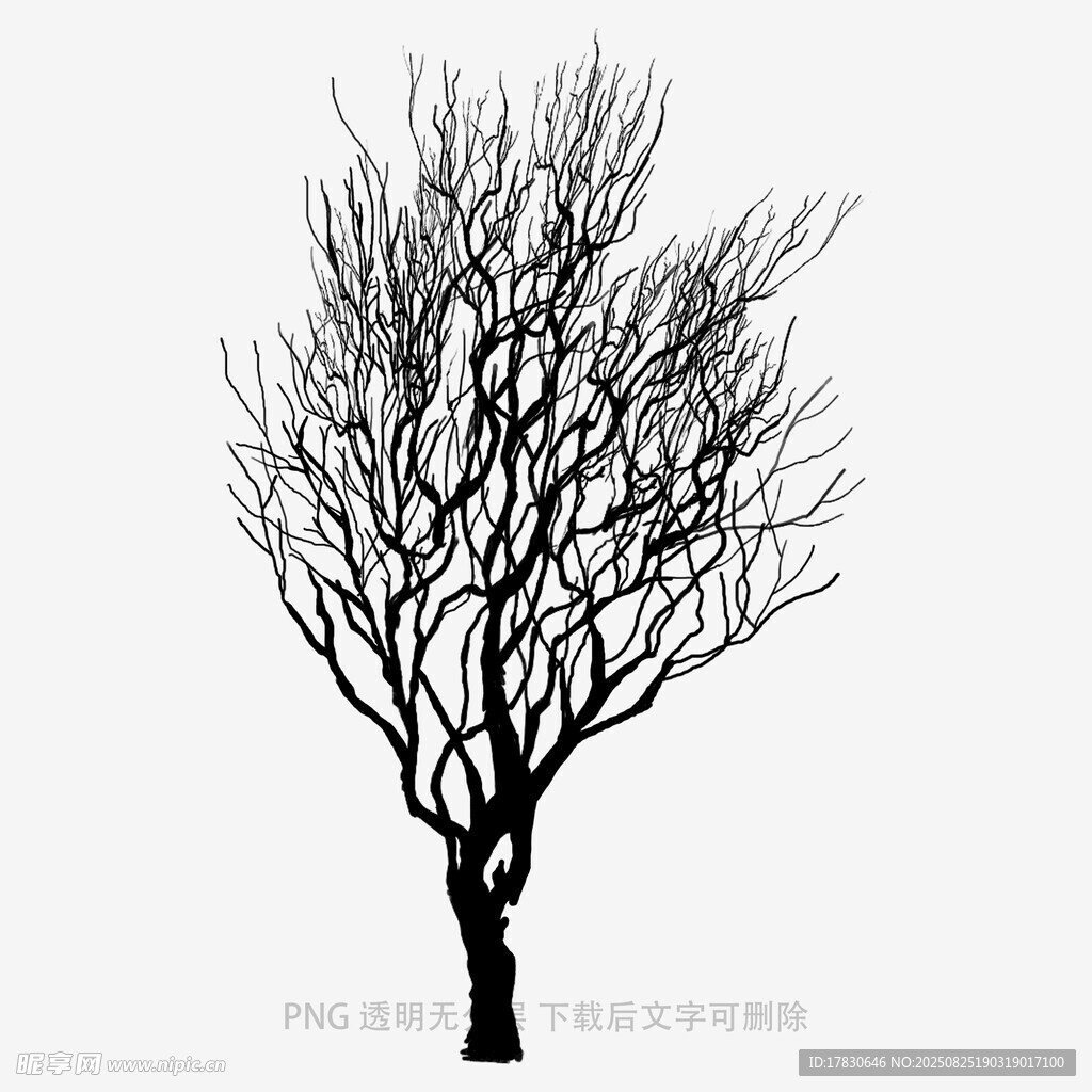树木