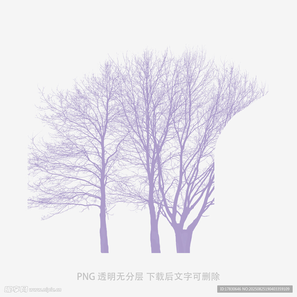 树木