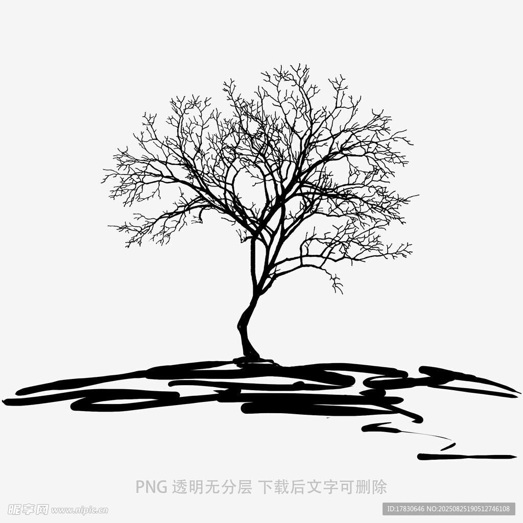 树木