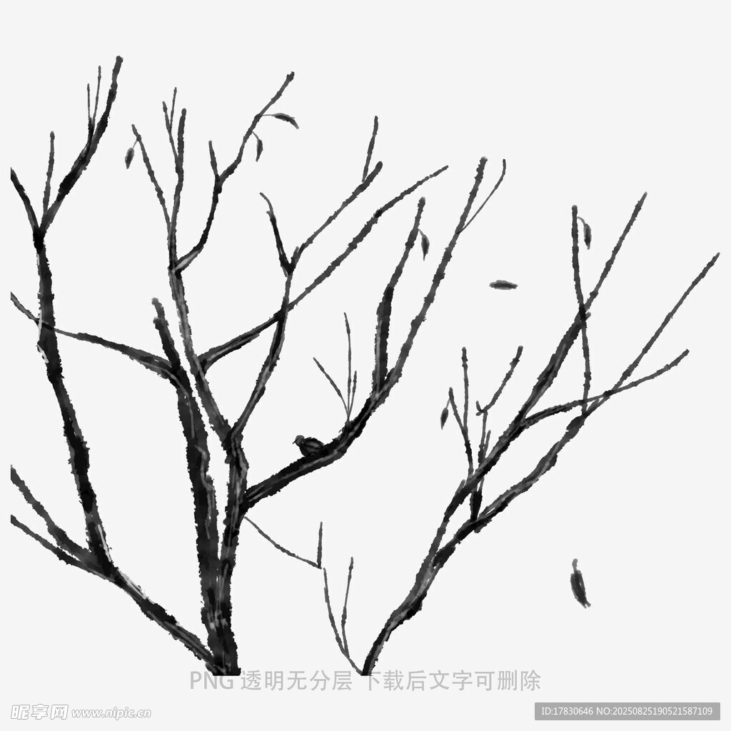 树木