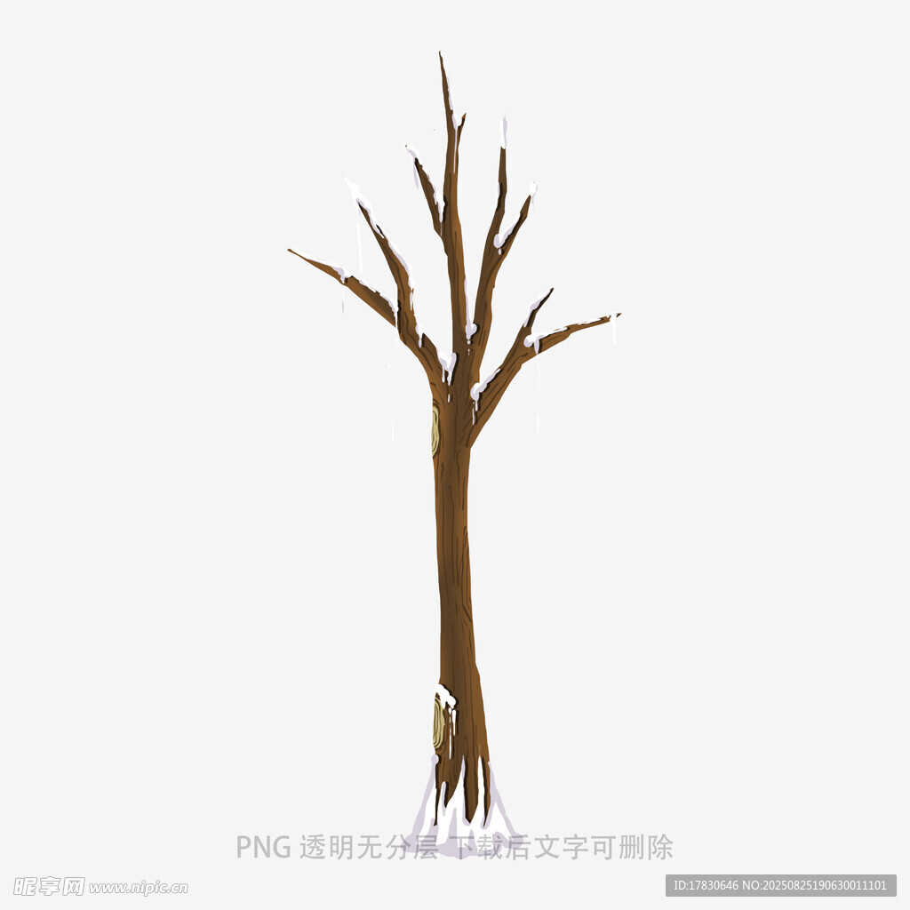 树木