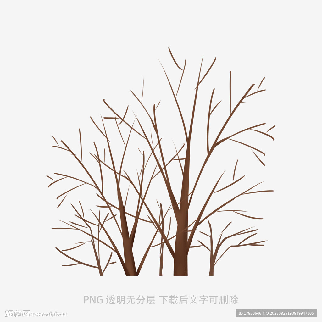 树木