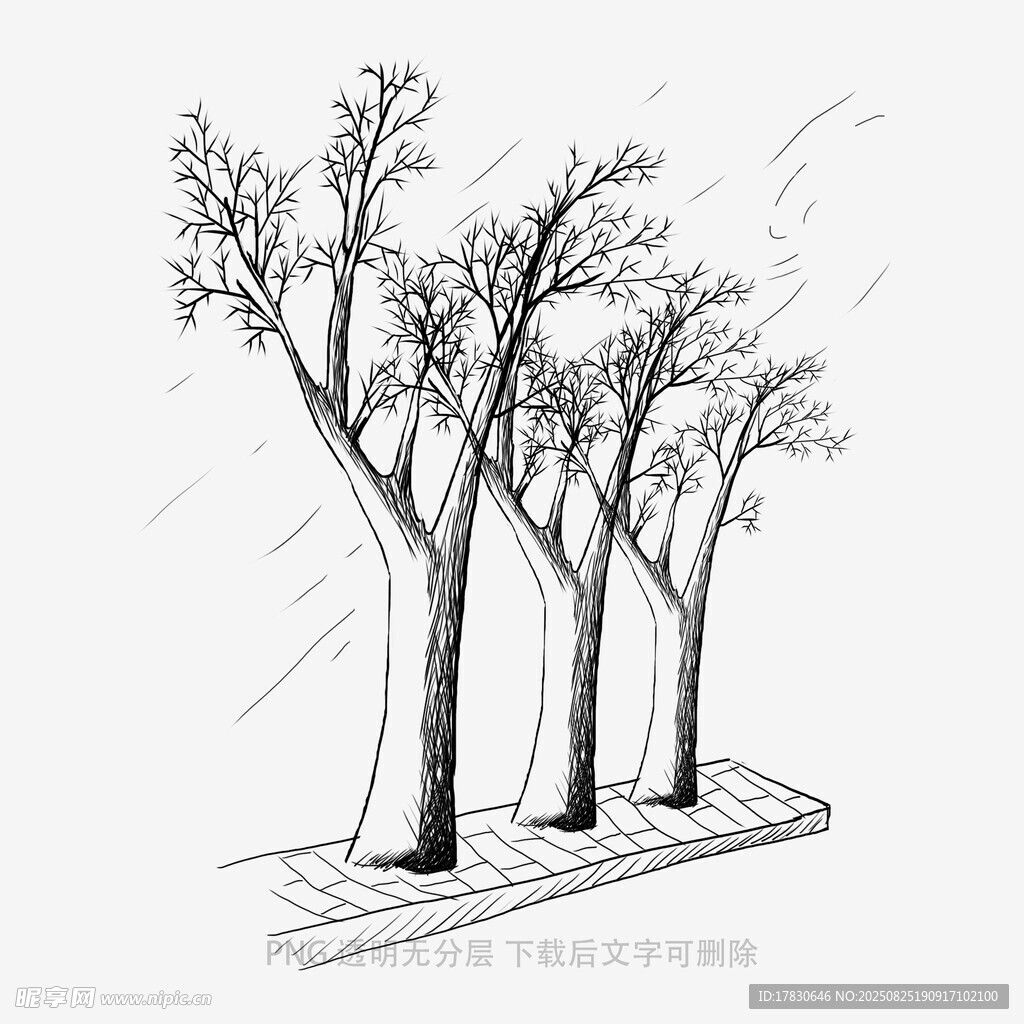 树木