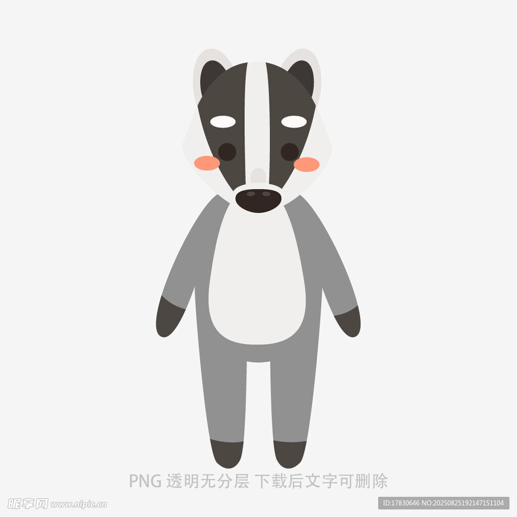 可爱卡通浣熊形象设计