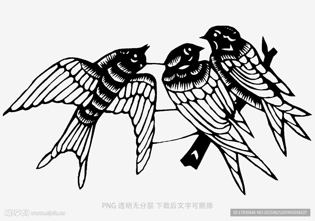 三只燕子栖息于电线上