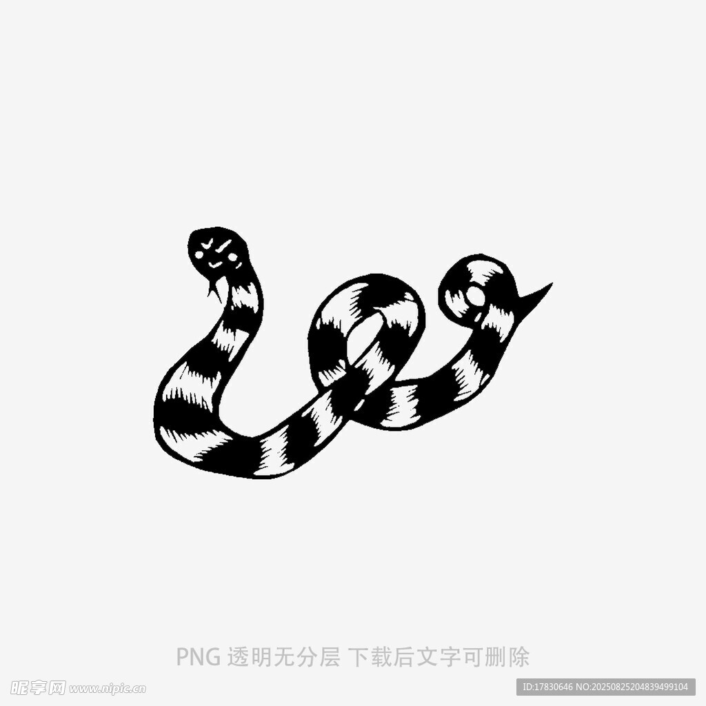 黑白条纹蛇图案设计